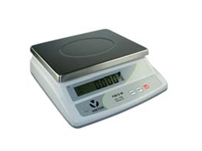 Electronic scale